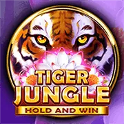Các công cụ tự giới hạn và tự loại trừ của 888p77 để chơi game có trách nhiệm